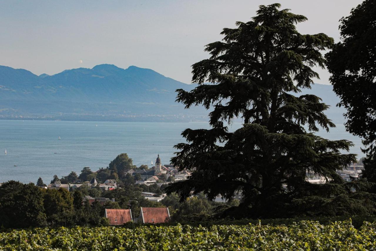 Les Volets Bleus Daire Morges Dış mekan fotoğraf